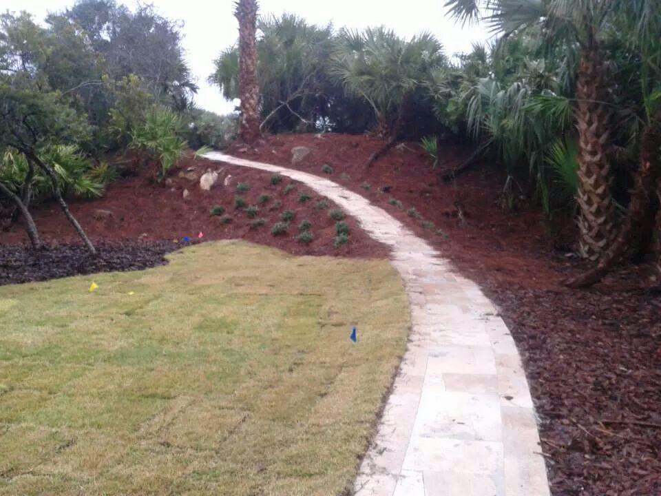 Travertine paver walkway freshly installed next to new sod and palm trees